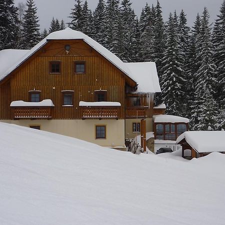 Penzion Melkus Pec pod Snezkou Exterior photo