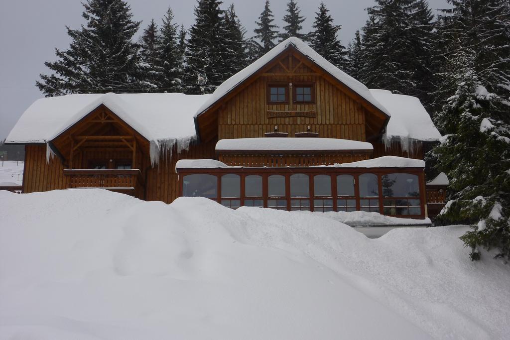 Penzion Melkus Pec pod Snezkou Exterior photo